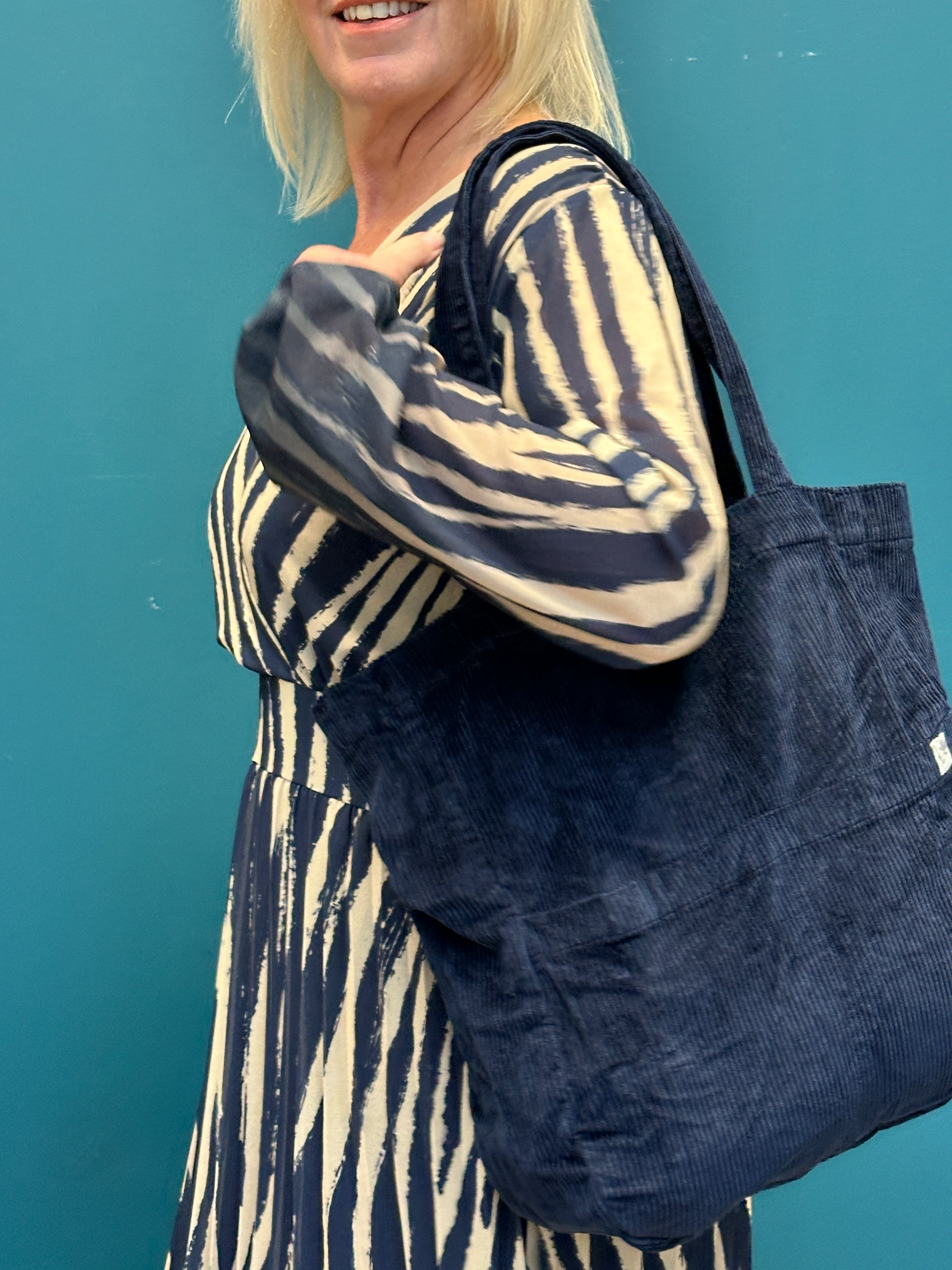 Goose Island Zebra Print Elasticated Waist Dress