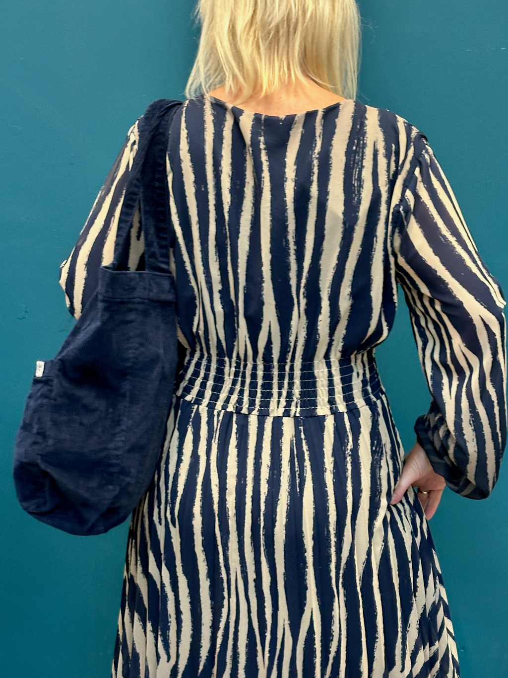 Goose Island Zebra Print Elasticated Waist Dress